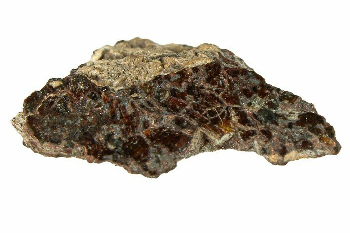 Ureilite Meteorite (g) Fragement - NWA #302249